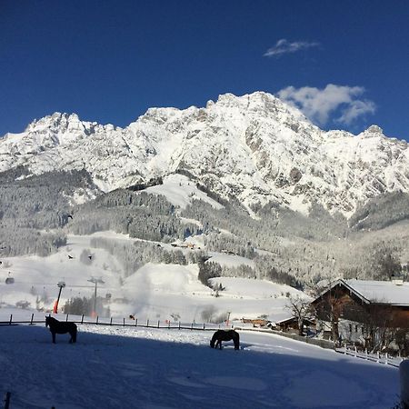 Stockingbauer Villa Leogang Kültér fotó