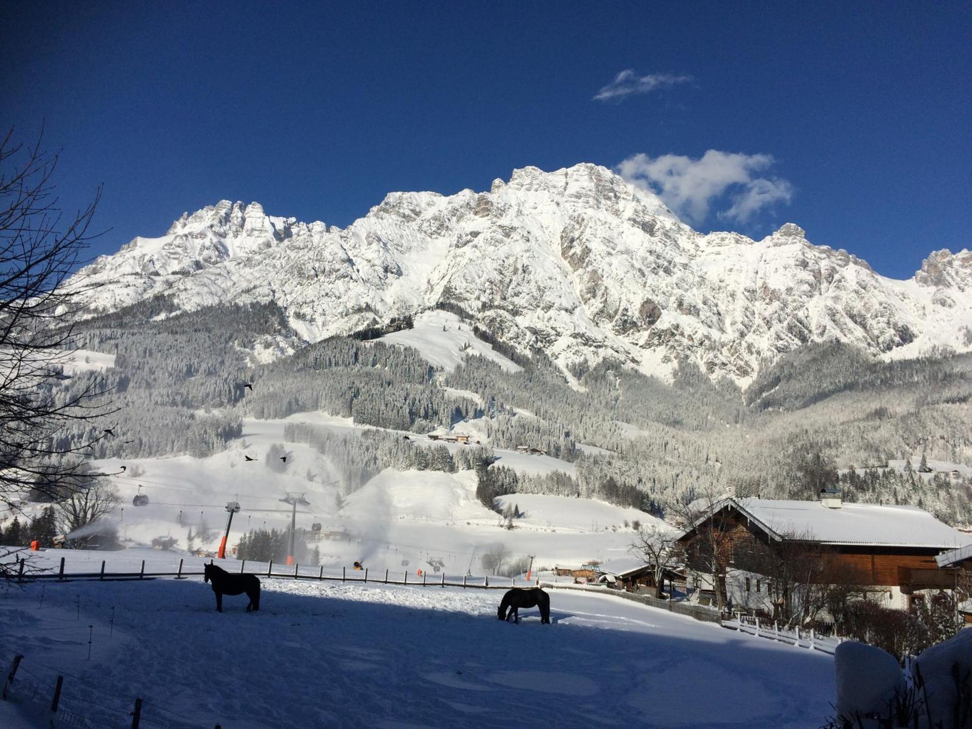 Stockingbauer Villa Leogang Kültér fotó